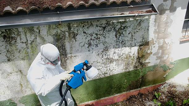 Top rated local Mold Remediation specialists in Claysburg, PA